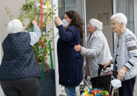 Geldern_Maibaum schmücken2.jpg