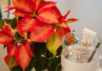 Geldern_Nikolaus 2019_10.jpg