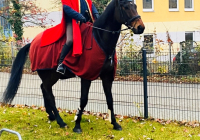 Neuwied Sankt Martin 5.jpg