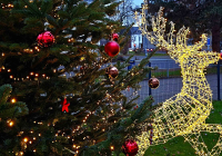 Neuwied Weihnachtsmarkt 2024_11.jpg
