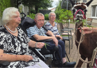 Krefeld Alpakas zu Besuch 2025 2.jpg