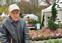 Krefeld Herbstzauber 2025 9.jpg