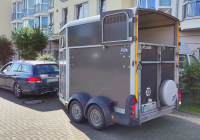 Krefeld Ponybesuch 16.jpg