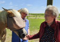 Krefeld Reiterhof 2.jpg