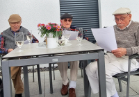 Neuwied Maibaum 2.jpg