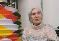 Neuwied Sankt Martin 2025 4.jpg