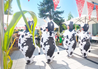 Neuwied Sommerfest 2024 21.jpg