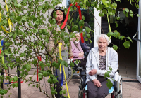 Krefeld Maibaum 2022_3.jpg