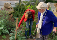 Krefeld Hilleput_September 21_4.jpg