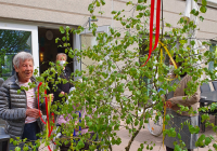 Krefeld Maibaum 2022_4.jpg