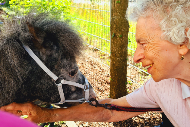 Krefeld Ponybesuch