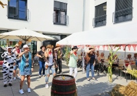 Neuwied Sommerfest 2024 16.jpg