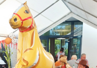 Neuwied Sommerfest 2024 32.jpg